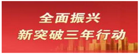 全面振興三年行動